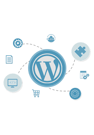 Discover Best Wordpress Development Company In India For Robust Sites